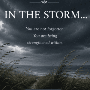 In the Storm Card Deck