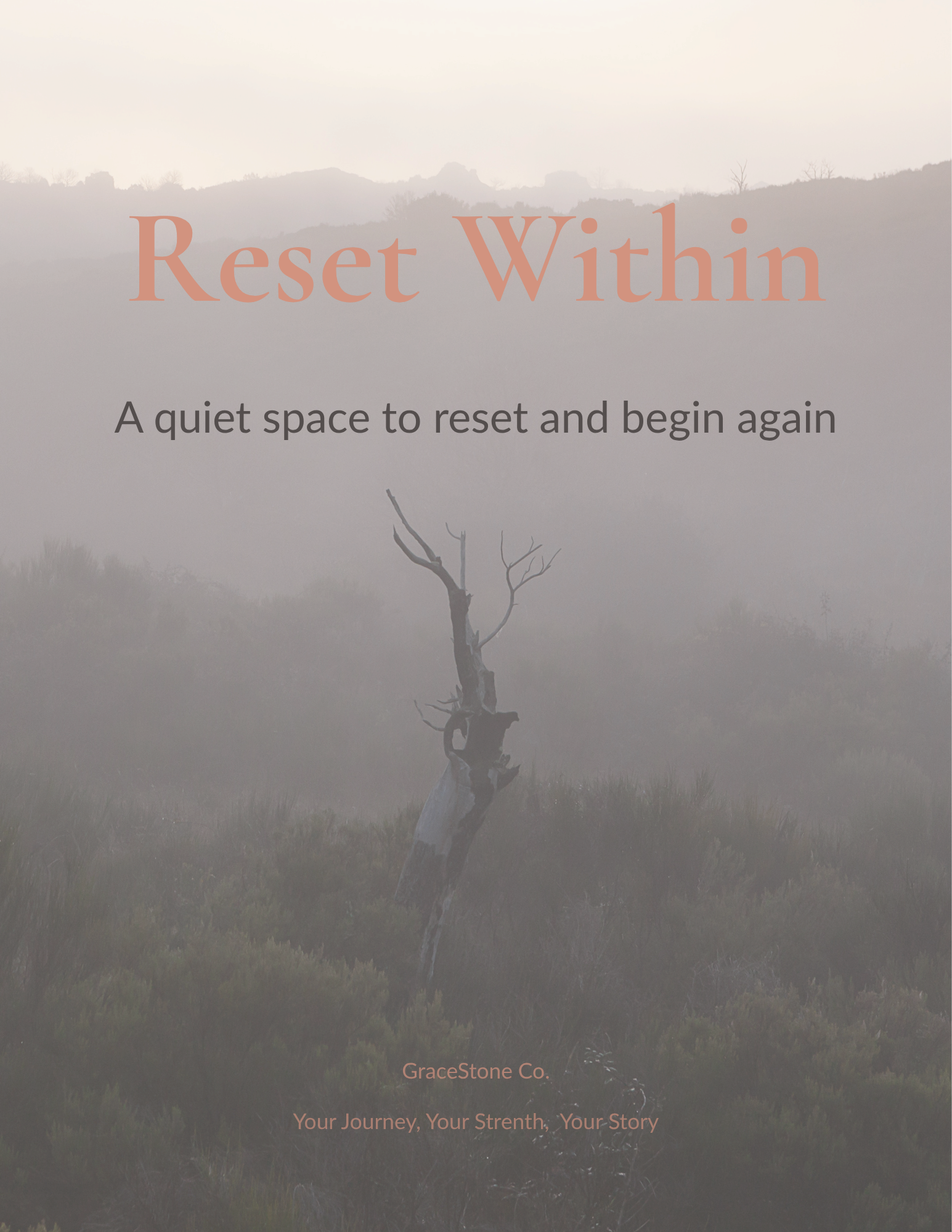 Reset Within