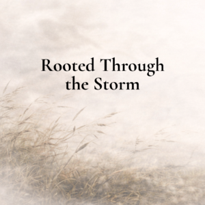 Rooted Through the Storm healing workbook and reflection collection by GraceStone Co featuring soft neutral storm imagery