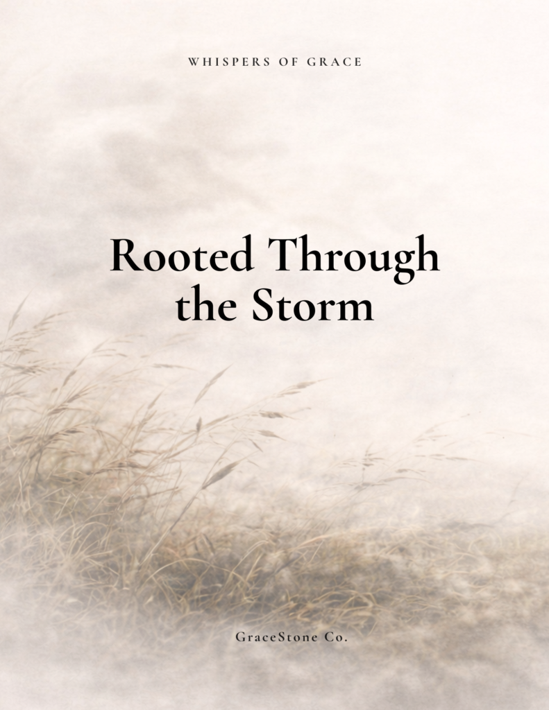 Rooted Through the Storm healing workbook and reflection collection by GraceStone Co featuring soft neutral storm imagery